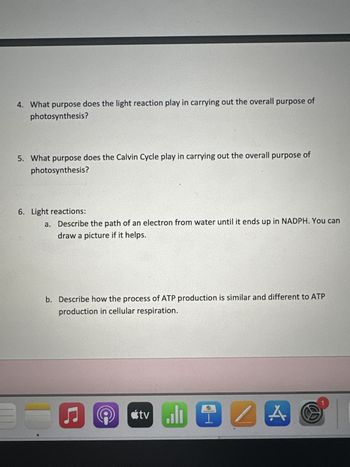 1. What is the overall purpose of photosynthesis?
2. Write the overall equation for photosynthesis.
a.
Light
Photosynthesis Discussion Questions
3. Fill in the information for the following figure:
Chloroplast
Using arrows, show what is being oxidized and what is being reduced in the
overall equation.
th
Cupright 2008 Pearson Education, ine, publishing as Pea
Light
Reactions
B
Benjamin Cummings
♫
E
ADP
P
Ev
G
C
Calvin
Cycle
D
...
tvill
In