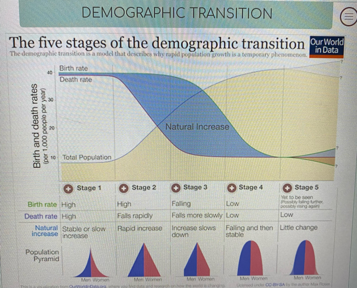 research paper on demographic transition