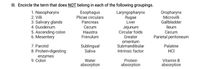 I. Encircle the term that does NOT belong in each of the following groupings.
1. Nasopharynx
2. Villi
3. Salivary glands
4. Duodenum
Esophagus
Plicae circulars
Laryngopharynx
Rugae
Liver
Oropharynx
Microvilli
Gallbladder
Pancreas
5. Ascending colon
6. Mesentery
Cecum
Haustra
Frenulum
Jejunum
Circular folds
Greater
Ileum
Cecum
Parietal peritoneum
7. Parotid
8. Protein-digesting
enzymes
omentum
Submandibular
Intrinsic factor
Sublingual
Saliva
Palatine
HCI
9. Colon
Water
absorption
Protein
absorption
Vitamin B
absorption
