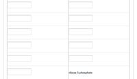 The image displays a table with ten empty fields, presumably intended for input of specific information related to biochemical processes or molecules. Below these fields, the text "ribose 5 phosphate" is visible. This term refers to a crucial component in the pentose phosphate pathway, which is vital for cellular metabolic processes including nucleotide synthesis.

There are no graphs or diagrams in this image to describe further.