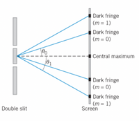 Dark fringe
(m = 1)
%3D
Dark fringe
(m = 0)
%3D
Central maximum
Dark fringe
(m = 0)
%3D
Dark fringe
(m = 1)
Screen
Double slit
