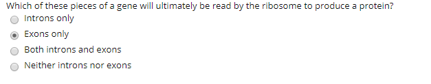 Which of these pieces of a gene will ultimately be read by the ribosome to produce a protein?
Introns only
Exons only
Both introns and exons
Neither introns nor exons
