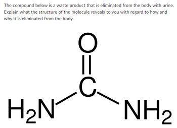 The compound below is a waste product that is eliminated from the body with urine.
Explain what the structure of the molecule reveals to you with regard to how and
why it is eliminated from the body.
H₂N
||
C
NH₂