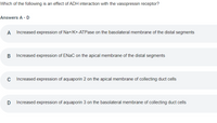 **Question**

Which of the following is an effect of ADH interaction with the vasopressin receptor?

**Answers A - D**

A. Increased expression of Na+/K+-ATPase on the basolateral membrane of the distal segments

B. Increased expression of ENaC on the apical membrane of the distal segments

C. Increased expression of aquaporin 2 on the apical membrane of collecting duct cells

D. Increased expression of aquaporin 3 on the basolateral membrane of collecting duct cells