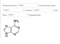 This picture shows a [Select ]
and its specific name is
[ Select ]
It pairs to [Select ]
and
forms [ Select ]
hydrogen bonds.
NH2
N-
Z-
ZI
