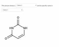 This picture shows a [Select ]
and its specific name is
[ Select ]
HN
`NH
