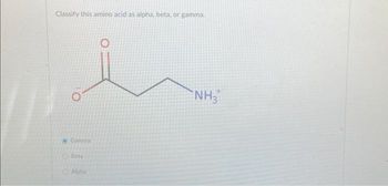 Classify this amino acid as alpha, beta, or gamma.
Gamma
Beta
Alpha
NH3