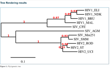 Tree Rendering results
1
1
0.1
Figure 1: Phylogenetic tree.
1
0.97
0.93
0.89
0.94
073
0.93
HIV1_ELI
HIV1_NDK
HIV1_BRU
HIVI_MAL
SIV_CPZ
SIV_AGM
- SIV_Mm251
SIV_SMM
HIV2_ST
HIV2_ROD
HIV2_UCI