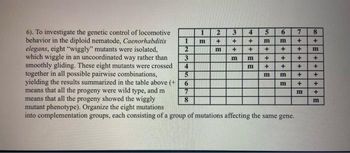 6). To investigate the genetic control of locomotive
behavior in the diploid nematode, Caenorhabditis
elegans, eight "wiggly" mutants were isolated,
which wiggle in an uncoordinated way rather than
smoothly gliding. These eight mutants were crossed
together in all possible pairwise combinations,
yielding the results summarized in the table above (+
means that all the progeny were wild type, and m
means that all the progeny showed the wiggly
mutant phenotype). Organize the eight mutations
into con lementation groups, each consisting of a group of mutations affecting the same gene.
1
2
3
4
5
6
7
8
1
E
N+E
2
3+1
m +
m
4 5
+ m m
E+
+ +
EE
6
++E
E+
+EE
m m
+ +
+ + +
+ +
+ +
m
7 8
++4
∞+E
+E
m
m
++ E