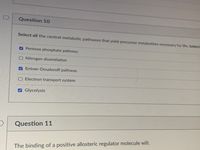 Question 10
Select all the central metabolic pathways that yield precursor metabolites necessary for life. (select.
Pentose phosphate pathway
ONitrogen dissimilation
A Entner-Doudoroff pathway
O Electron transport system
Glycolysis
Question 11
The binding of a positive allosteric regulator molecule will:
