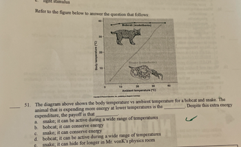 light stimulus
Refer to the figure below to answer the question that follows:
40
Bobcat (endotherm)
H
Enake (netother)
10
10
40
20
30
Ambient temperature (°C)
51. The diagram above shows the body temperature vs ambient temperature for a bobcat and snake. The
Despite this extra energy
animal that is expending more energy at lower temperatures is the
expenditure, the payoff is that
a. snake; it can be active during a wide range of temperatures
b.
bobcat; it can conserve energy
c.
snake; it can conserve energy
d.
bobcat; it can be active during a wide range of temperatures
snake; it can hide for longer in Mr. vonk's physics room
e.
Body temperature (°C)
20