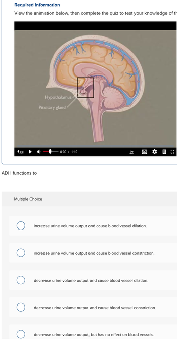 Required information
View the animation below, then complete the quiz to test your knowledge of th
◄30s
ADH functions to
Multiple Choice
O
O
Hypothalamus
Pituitary gland
0:00 / 1:10
1x
increase urine volume output and cause blood vessel dilation.
increase urine volume output and cause blood vessel constriction.
decrease urine volume output and cause blood vessel dilation.
decrease urine volume output and cause blood vessel constriction.
decrease urine volume output, but has no effect on blood vessels.