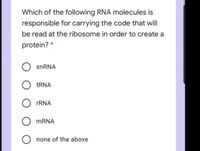 Which of the following RNA molecules is
responsible for carrying the code that will
be read at the ribosome in order to create a
protein? *
snRNA
O TRNA
rRNA
MRNA
O none of the above
