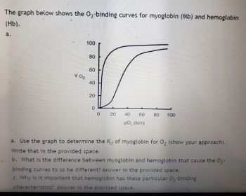 Solved The graph represents the adult hemoglobin binding