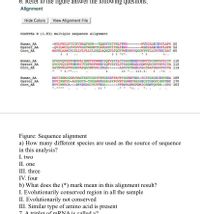 6. Refer to the figure answer the following questions.
Alignment
Hide Colors
View Alignment File
CLUSTAL W (1.83) multiple sequence alignment
Human_AA
Oyster AA
Corn_AA
-MKLFWLLFTIGFCWAQYSSN--TOOGRTSIVHLFEWR--------VDIALECERYLAPK 50
-QVILWCLLYVGVVRGGTWSNPTCAPGRHTITHLFEWK-
MAKHLAAMCRCSLLVLVLLCLGSQLAQSQVLFQGFNWESWKKOGGWYNYLLGRVDDIAAT 60
--WSDIAAECERFLGPM 52
:..
GFGGVQVSPPNENVAIHNPFRPWWERYQPVSYKLCTRSGNEDEFRNMVTRCNNVGVRIYV 110
Human_AA
Oyster AA
Corn_AA
GYCGVQISPPNENRIVTSPNRPWWERYQPVSYKLVTRSGNEADLRDMVQRCNKVNVRIYA 112
GATHVWLPPPSHSVAPQGYMPGRLYDLD-----ASKYGTHAELKSLTAAFHAKGVKCVA 114
:: *.. :::.:. : .*:
*...
DAVINHMCGNAVSAGTSSTCGSYFNPGSRDFPAVPYSGWDFNDG-KCKTGSGDIENYNDA 169
DVVINHMTG-AGGSGTG-TGGSHWDGGSLSYPGVPFSSWDFNSGSECSTGDGNIHNYNDP 170
DVVINHRCA---DYKDGRGIYCVFEGG- -TPDSRLDWGPDMICSDDTOYSN--GRG 163
Human_AA
Corn_AA
:: *
Figure: Sequence alignment
a) How many different species are used as the source of sequence
in this analysis?
I. two
II. one
III. three
IV. four
b) What does the (*) mark mean in this alignment result?
I. Evolutionarily conserved region in all the sample
II. Evolutionarily not conserved
III. Similar type of amino acid is present
7 A trinlet of mRNA is called a?
