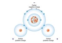 Partial
negative charge
+
Partial
Partial
positive charge
positive charge
+
