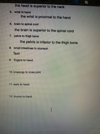 the head is superior to the neck
5. wist to hand
the wrist is proximal to the hand
6. brain to spinal cord
the brain is superior to the spinal cord
7. pelvis to thigh bone
the pelvis is inferior to the thigh bone
8. small intestines to stomach
Text
9. fingers to hand
10. kneecap to knee joint
11. ears to head
12. thumb to hand
