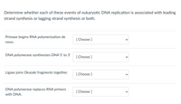 Determine whether each of these events of eukaryotic DNA replication is associated with leading
strand synthesis or lagging strand synthesis or both.
Primase begins RNA polymerization de
[ Choose ]
novo.
DNA polymerase synthesizes DNA 5' to 3'
[ Choose ]
Ligase joins Okazaki fragments together.
[ Choose ]
DNA polymerase replaces RNA primers
[ Choose ]
with DNA.
>
>
>
>
