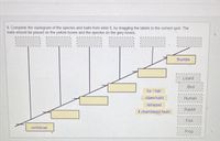 Answered: 9. Complete the cladogram of the… | bartleby