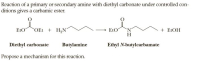 Reaction of a primary or secondary amine with diethyl carbonate under controlled con-
ditions gives a carbamic ester.
EtO
OEt + H,N
EtO
`N.
H
+ ELOH
Diethyl carbonate
Butylamine
Ethyl N-butylcarbamate
Propose a mechanism for this reaction.
