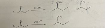 ### Transcription for Educational Website

The image presents two chemical reactions illustrating the substitution of a bromine atom in an organic compound with a methoxy group (OCH₃).

#### Reaction a:
- **Starting Material:** 
  - A chiral alkyl bromide with the bromine (Br) atom connected to a carbon, shown with a wedge to indicate its spatial orientation.
- **Reagent:** 
  - Methanol (CH₃OH).
- **Products:** 
  - Two isomers, where the bromine is substituted by an OCH₃ group.
  - Both the methoxy groups (OCH₃) are shown with different spatial orientations:
    - One with a wedge indicating that the OCH₃ group is in the same orientation as the original Br.
    - The other with a dashed line showing inversion of configuration compared to the original Br.

#### Reaction b:
- **Starting Material:** 
  - Similar chiral alkyl bromide starting material as in Reaction a.
- **Reagent:** 
  - Methoxide ion (CH₃O⁻).
- **Products:** 
  - Similar to Reaction a, it produces two isomers with the methoxy group substituting the bromine, depicted with different configurations of the OCH₃ group:
    - One with a wedge (same spatial orientation as original Br).
    - Another with a dashed line (inverted orientation compared to original Br).

### Explanation 
- Both reactions demonstrate nucleophilic substitution where the bromine is replaced by an -OCH₃ group.
- The use of different reagents (CH₃OH vs. CH₃O⁻) can lead to changes in reaction conditions and possibly reaction mechanisms (like SN1 or SN2).
- The difference in the spatial orientation of the product isomers indicates stereochemistry considerations in such reactions.