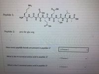 NH2
OOH
HO.
Peptide 1:
H2N
N.
H.
N.
N'
N'
H.
HO,
HO,
HO.
Peptide 2:
pro-ile-glu-arg
How many peptide bonds are present in peptide 1?
[ Choose ]
What is the N-terminal amino acid in peptide 2?
[ Choose ]
What is the C-terminal amino acid in peptide 2?
[ Choose ]
