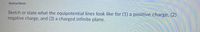 Instructions
Sketch or state what the equipotential lines look like for (1) a positive charge, (2)
negative charge, and (3) a charged infinite plane.
