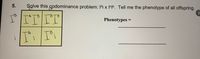 5.
Solve this codominance problem: I'i x I^IP. Tell me the phenotype of all offspring.
-B
ITIT
4.
B.
B
Phenotypes
