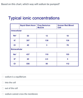 ### Typical Ionic Concentrations

**Question:**
Based on this chart, which way will sodium be pumped?

**Table: Ionic Concentrations**

|                     | Squid Giant Axon | Frog Sartorius Muscle | Human Red Blood Cell |
|---------------------|-------------------|------------------------|----------------------|
| **Intracellular**   |                   |                        |                      |
| Na⁺ (Sodium)        | 50                | 13                     | 19                   |
| K⁺ (Potassium)      | 397               | 138                    | 136                  |
| Cl⁻ (Chloride)      | 40                | 3                      | 78                   |
| **Extracellular**   |                   |                        |                      |
| Na⁺ (Sodium)        | 437               | 110                    | 155                  |
| K⁺ (Potassium)      | 20                | 2.5                    | 5                    |
| Cl⁻ (Chloride)      | 556               | 90                     | 112                  |

**Options:**
- Sodium is at equilibrium
- Into the cell
- Out of the cell
- Sodium cannot cross the membrane

**Explanation:**

The table shows the concentrations of three types of ions: Sodium (Na⁺), Potassium (K⁺), and Chloride (Cl⁻), both intracellularly and extracellularly across three different cell types: Squid Giant Axon, Frog Sartorius Muscle, and Human Red Blood Cell. The concentrations are measured in typical units and can help determine the direction of ion movement based on concentration gradients.

For instance, sodium concentrations are higher extracellularly than intracellularly across all three cell types, suggesting that sodium will be pumped out of the cell against its concentration gradient.