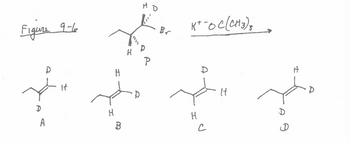 **Figure 9-6**

This image displays a chemical reaction involving a brominated alkane and potassium tert-butoxide (\( \text{K}^+-\text{OC(CH}_3\text{)}_3 \)). The structural formula of the brominated alkane shows a carbon chain with bromine (\( \text{Br} \)) attached, and several hydrogen (\( \text{H} \)) and deuterium (\( \text{D} \)) atoms indicated.

The reaction arrow points from the brominated alkane reactant to four possible alkene products, labeled A, B, C, and D.

**Reaction Diagram:**

1. **Top Structure:** The starting material is a brominated alkane with the bromine attached to a chiral center. The three groups attached to this carbon are deuterium, hydrogen, and a propyl group. 

2. **Reaction Conditions:** 
   - Reagent: Potassium tert-butoxide (\( \text{K}^+-\text{OC(CH}_3\text{)}_3 \))
   - Indicates an elimination reaction.

**Possible Products:**

- **Product A:** A terminal alkene with deuterium atoms at one end of the double bond and a hydrogen atom at the other.
- **Product B:** An internal alkene where hydrogen atoms are bonded to one carbon of the double bond and deuterium atoms to the other.
- **Product C:** An internal alkene with one deuterium and one hydrogen on each carbon atom of the double bond, but in a different configuration compared to B.
- **Product D:** An internal alkene similar to C, but with deuterium and hydrogen atoms swapped on the carbons involved in the double bond.

This reaction sequence illustrates the stereochemistry and regioselectivity that might arise from such a reaction, exploring the different structural isomers obtained as elimination products.