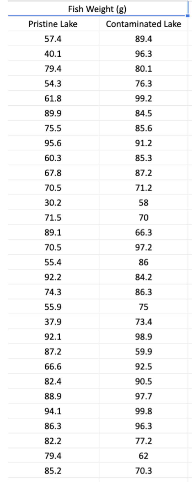 Fish Weight (g)
Pristine Lake
Contaminated Lake
57.4
89.4
40.1
96.3
79.4
80.1
54.3
76.3
61.8
99.2
89.9
84.5
75.5
85.6
95.6
91.2
60.3
85.3
67.8
87.2
70.5
71.2
30.2
58
71.5
70
89.1
66.3
70.5
97.2
55.4
86
92.2
84.2
74.3
86.3
55.9
75
37.9
73.4
92.1
98.9
87.2
59.9
66.6
92.5
82.4
90.5
88.9
97.7
94.1
99.8
86.3
96.3
82.2
77.2
79.4
62
85.2
70.3
