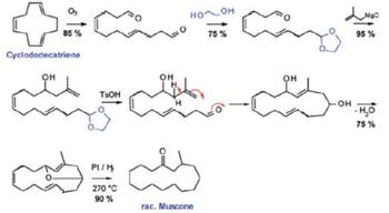 85%
Cyclododecatriene
OH
com
он
TSOH
rac. Muscone
Pt/H
270 °C
90%
НО ОН
75%
OH
OH
MgC
95%
- НО
75%