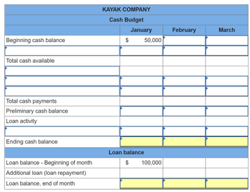 Beginning cash balance
Total cash available
Total cash payments
Preliminary cash balance
Loan activity
Ending cash balance
Loan balance - Beginning of month
Additional loan (loan repayment)
Loan balance, end of month
KAYAK COMPANY
Cash Budget
$
January
Loan balance
$
50,000
100,000
February
March