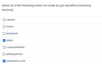 Select all of the following which are made by gut microflora (intestinal
bacteria):
O calcium
starch
O potassium
biotin
cyanocobalamin
O phylloquinone
V pantothenic acid
