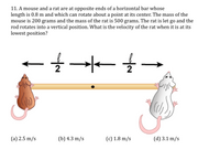 11. A mouse and a rat are at opposite ends of a horizontal bar whose
length is 0.8 m and which can rotate about a point at its center. The mass of the
mouse is 200 grams and the mass of the rat is 500 grams. The rat is let go and the
rod rotates into a vertical position. What is the velocity of the rat when it is at its
lowest position?
(a) 2.5 m/s
(b) 4.3 m/s
(c) 1.8 m/s
(d) 3.1 m/s
