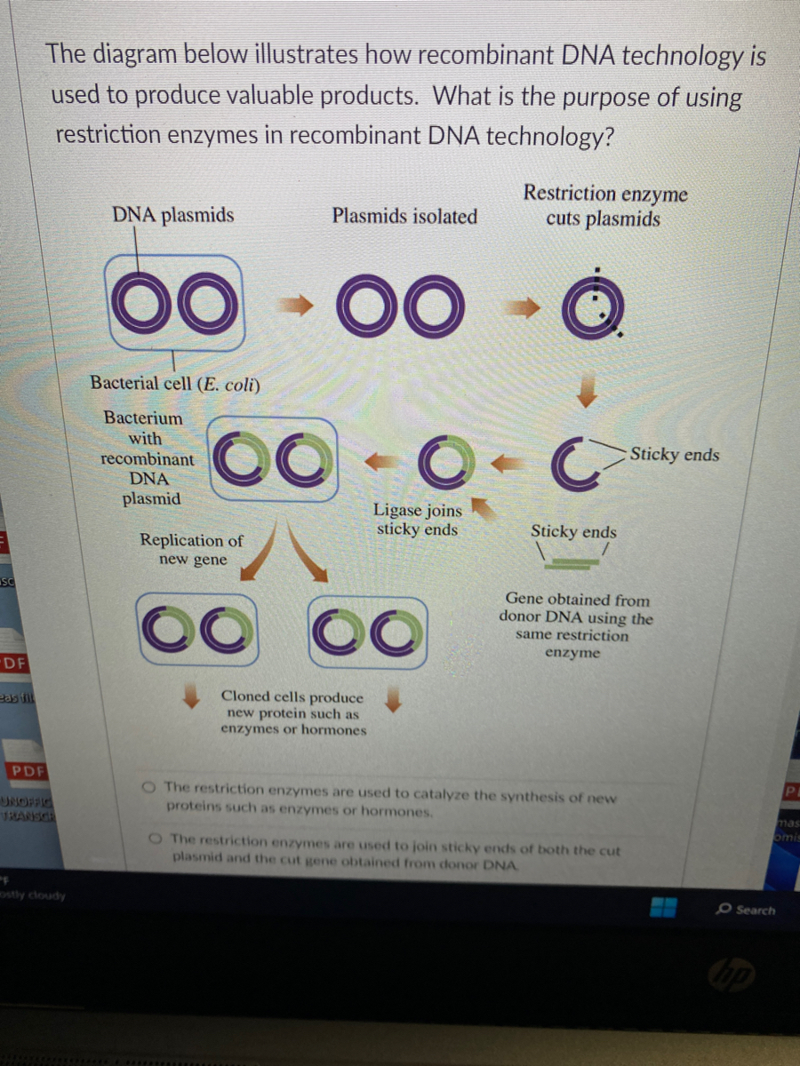 Recombinant Dna Diagram