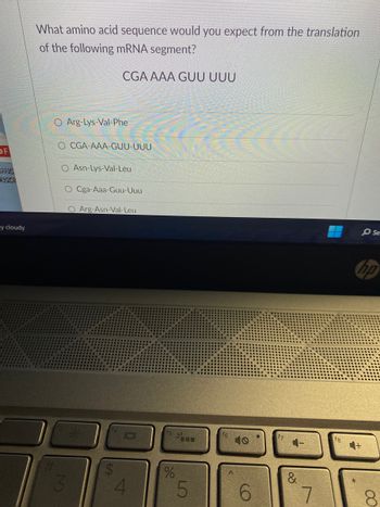 OF
FFIC
ENSCR
y cloudy
What amino acid sequence would you expect from the translation
of the following mRNA segment?
O Arg-Lys-Val-Phe
O CGA-AAA-GUU-UUU
CGA AAA GUU UUU
O Asn-Lys-Val-Leu
O Cga-Aaa-Guu-Uuu
O Arg-Asn-Val-Leu
3
*
$
4
%
-
5
6
&
7
O Se
hp
8