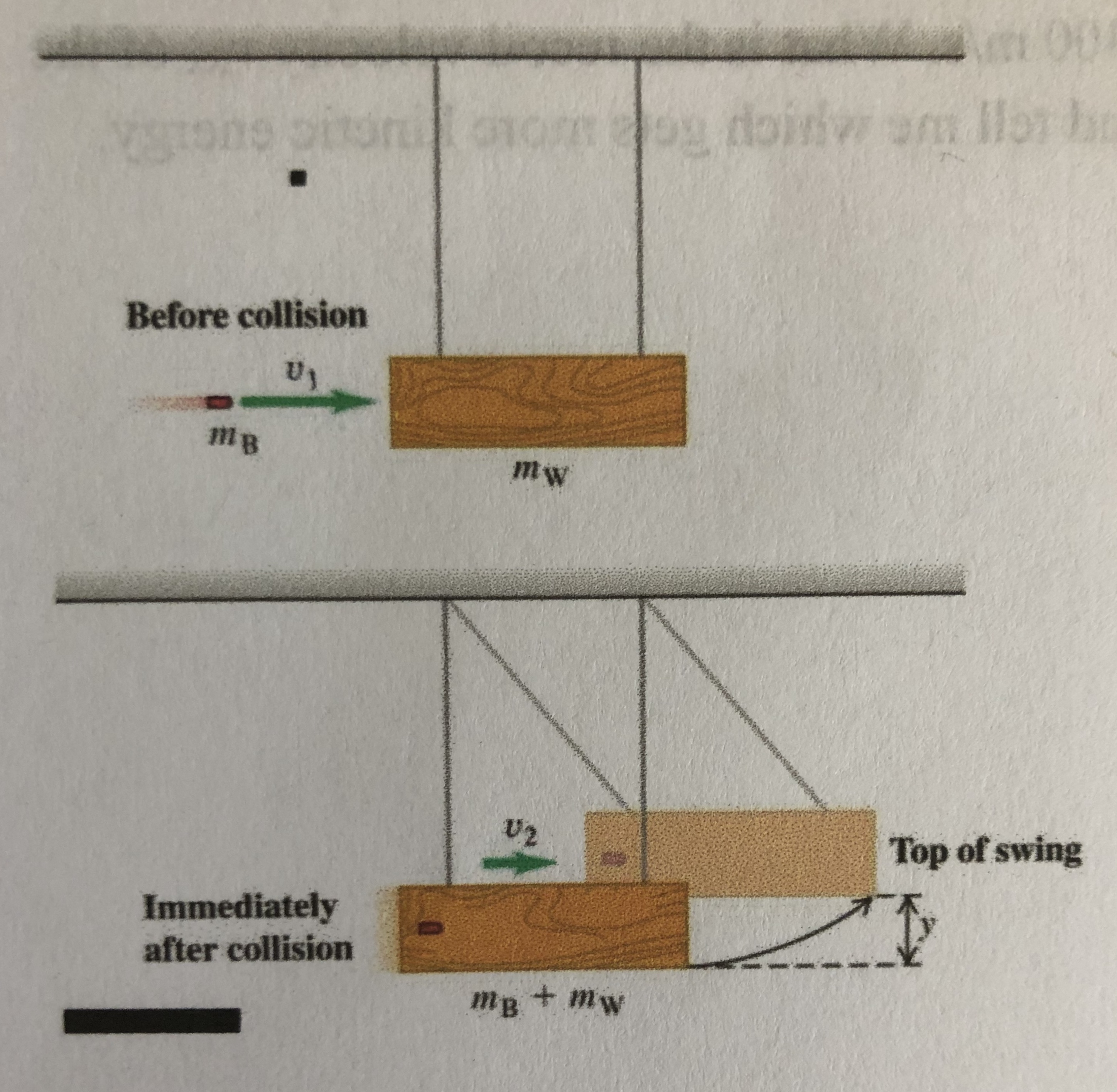 01omog doiiw am llor be
Before collision
V2
Top of swing
Immediately
after collision
mg + mw
