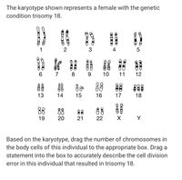 Answered: Number of chromosomes in the… | bartleby