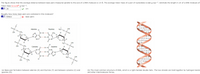 The figure shows that the average distance between base pairs measured parallel to the axis of a DNA molecule is 3.4 Å. The average molar mass of a pair of nucleotides is 650 g•mol-1. Estimate the length in cm of a DNA molecule of
molar mass 5.1x109
4.0 .26
g•mol-1.
cm
Roughly how many base pairs are contained in this molecule?
[4.0 784615
x base pairs
CG
G C
OH
TA
Thymine
Adenine
H.
H.
OH
CH2
N-H.......O
CH3
H
H
N……·H–N
HLH
TA
OH
0-P
H2C
CG
G C
H.
CH2
Guanine
H
OH
Cytosine
...
H-N
TA
AT
H'
N.....H-N
HLH
N-H.......O
H2C
OH
H
-o.
-P3D0
TA
0-
OH
H.
-CH2
(b) The most common structure of DNA, which is a right-handed double helix. The two strands are held together by hydrogen bonds
(a) Base-pair formation between adenine (A) and thymine (T) and between cytosine (C) and
guanine (G).
and other intermolecular forces.
