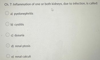 Ch. 7: Inflammation of one or both kidneys, due to infection, is called:
4
a) pyelonephritis
Ob) cystitis
c) dysurial
O d) renal ptosis
e) renal calculi