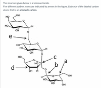 The structure given below is a tetrasaccharide.
Five different carbon atoms are indicated by arrows in the figure. List each of the labeled carbon
atoms that is an anomeric carbon.
но
но.
OH
e -
но
но.
OH
C
a
HO.
HỌ
d-
ÓH
OH
HO
но
OH
