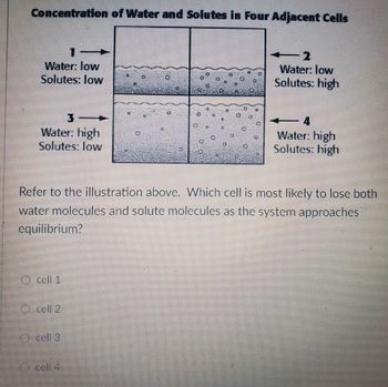 Concentration of Water and Solutes in Four Adjacent Cells
Water: low
Solutes: low
3
Water: high
Solutes: low
cell 1
1—
cell 2
cell 3
cell 4
D
D
n
JP. A
1
Refer to the illustration above. Which cell is most likely to lose both
water molecules and solute molecules as the system approaches
equilibrium?
U
2
Water: low
Solutes: high
4
Water: high
Solutes: high