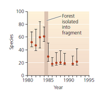 100
Forest
isolated
into
fragment
80
60
40
20-
0+
1980
1985
1990
1995
Year
Species
