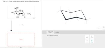 Draw the x anomer product of this reaction. Ignore inorganic byproducts.
HO
HOH
HO
H
H
H
OH
H
H₂O*
Drawing
OCH3
Atoms, Bonds
and Rings
Charges
Tap a node to see suggestions.
H
H.
H
H
H
H
H
Undo
Reset
Remove
Done
Drag To Pan