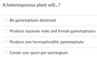 A heterosporous plant will..?
Be gametophyte dominant
Produce separate male and female gametophytes
Produce one hermaphroditic gametophyte
Create one spore per sporangium
