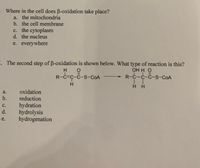 . Where in the cell does B-oxidation take place?
a. the mitochondria
b. the cell membrane
c. the cytoplasm
d. the nucleus
e. everywhere
7. The second step of B-oxidation is shown below. What type of reaction is this?
ОНН О
R-C-C-C-s-COA
H.
R-C=C-C-S-COA
H.
H H
a.
oxidation
b.
reduction
hydration
hydrolysis
hydrogenation
с.
d.
e.
