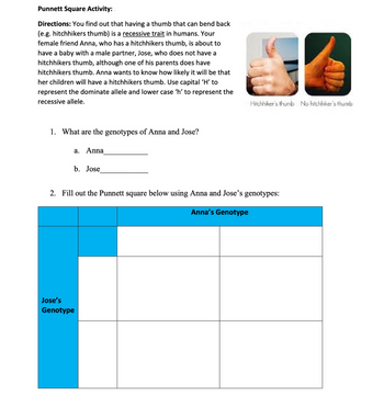 Answered: Punnett Square Activity: Directions:… | Bartleby