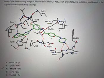 Based upon the following image of imatinib bound to BCR-ABL, which of the following mutations would result in the
largest reduction in imatinib binding?
Phe317
☆
Tyr253
A. Phe317 Tyr
B. Tyr253 Phe
C. Thr315→lle
D. lle313 Leu
E. Phe359-Tyr
Thr315
A
Phe382
Ile313
Met290
Glu286
Asp381
His361
#
Phe359