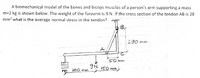 A biomechanical model of the bones and biceps muscles of a person's arm supporting a mass
m=2 kg is shown below. The weight of the forearm is 9 N. If the cross section of the tendon AB is 28
mm? what is the average normai stress in the tendon? u
290 mm
50 mm
200 mm
150 mm
